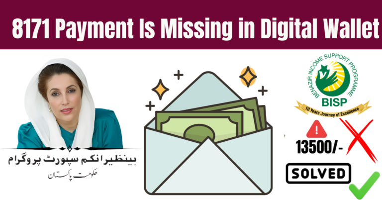 8171 Payment Is Missing in Digital Wallet