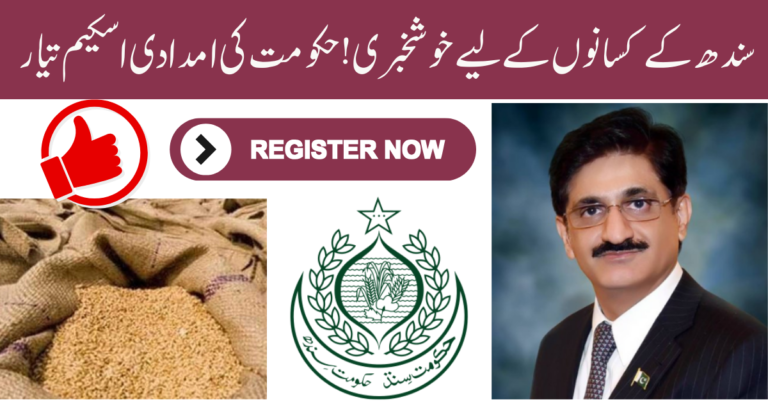 Sindh Introduces Wheat Growers Relief Scheme