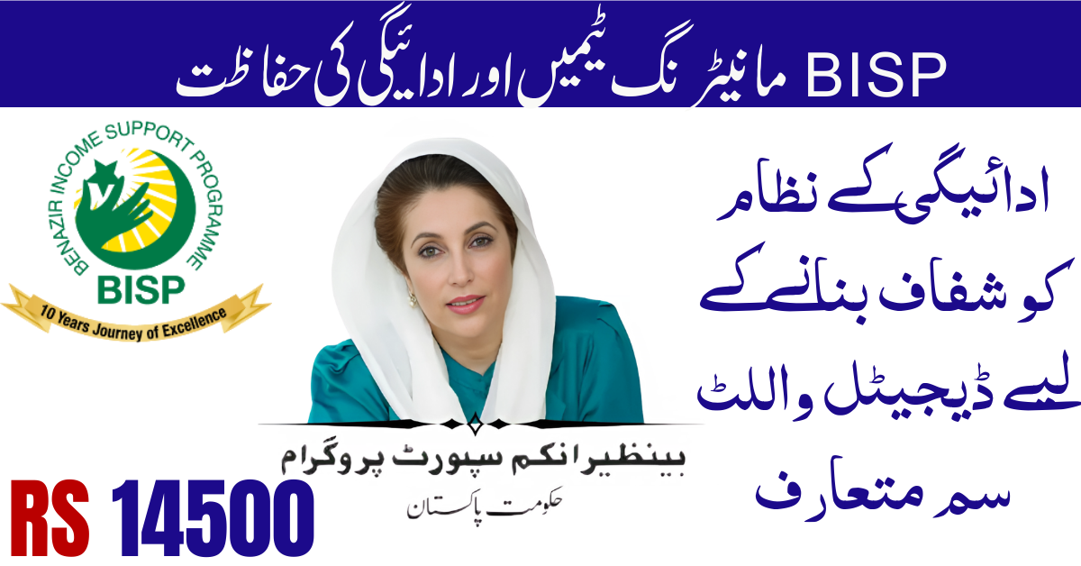 BISP Monitoring Teams and Payment Safety