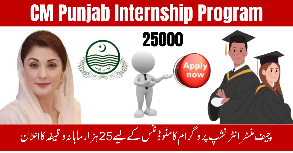 CM Punjab Internship Program