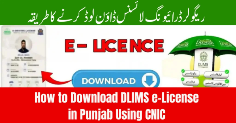 Punjab DLIMS e-License Download Guide
