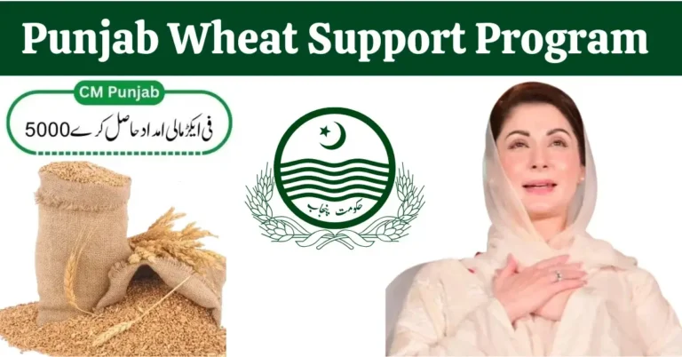 Punjab Launches Wheat Support Program