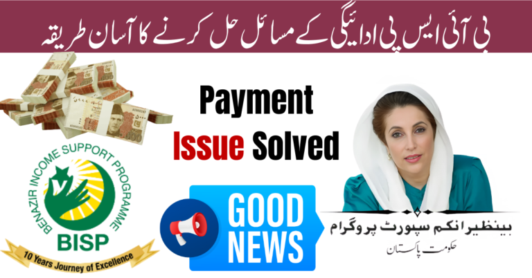 Resolve BISP Payment Status Issues
