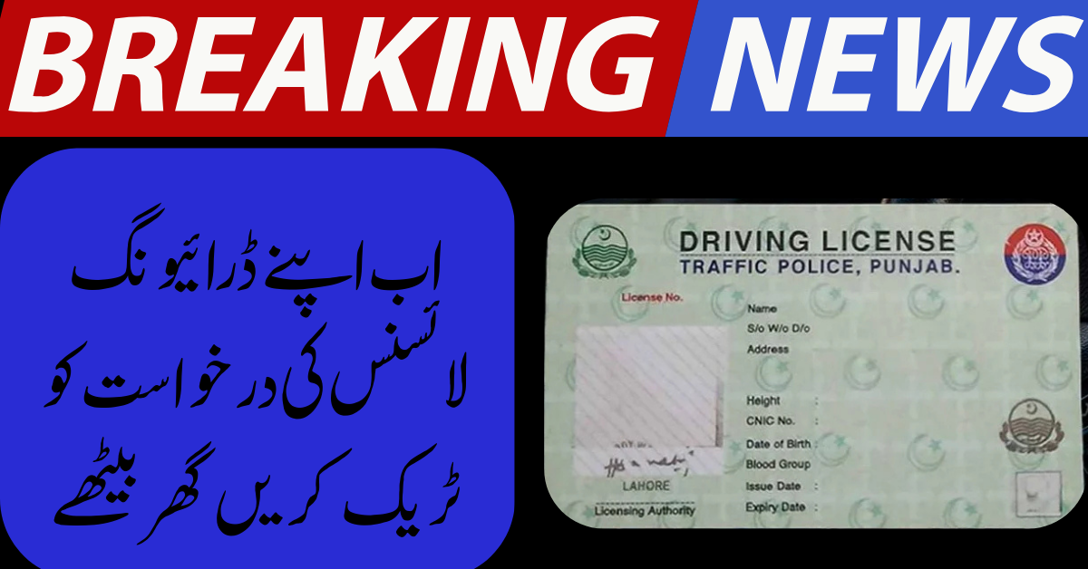 Track Your Punjab Driving License Online